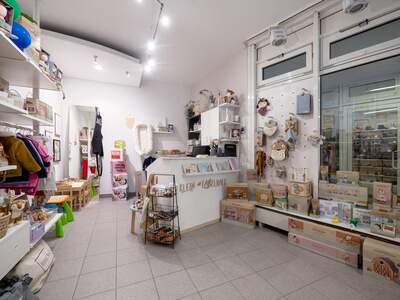 Gewerbeobjekt mieten in 4690 Schwanenstadt (Bild 3)