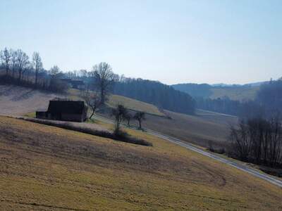 Grundstück kaufen in 8380 Henndorf (Bild 5)