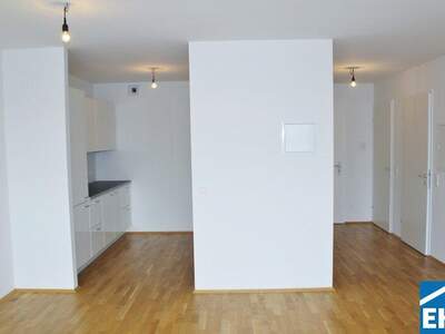 Terrassenwohnung mieten in 1110 Wien (Bild 2)