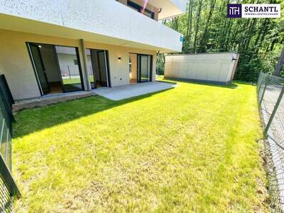 Terrassenwohnung kaufen in 2391 Kaltenleutgeben (Bild 5)