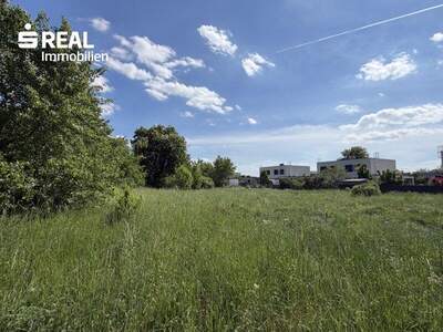 Grundstück kaufen in 7100 Neusiedl