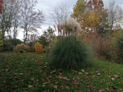 Gewerbeobjekt kaufen in 2214 Sladki Vrh (Bild 5)
