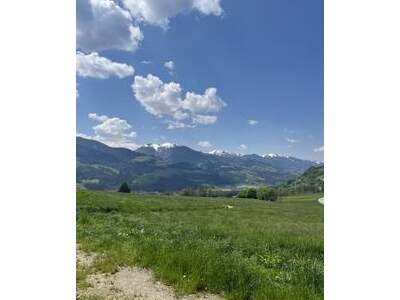 Grundstück kaufen in 8962 Gröbming