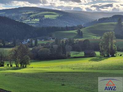 Gewerbeobjekt kaufen in 8162 Passail