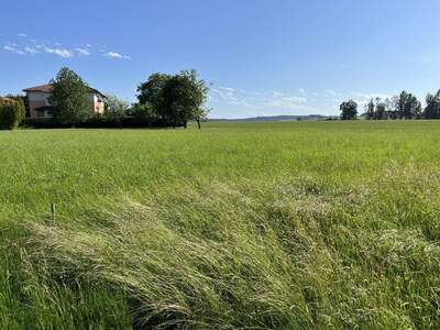 Grundstück kaufen in 4925 Pramet