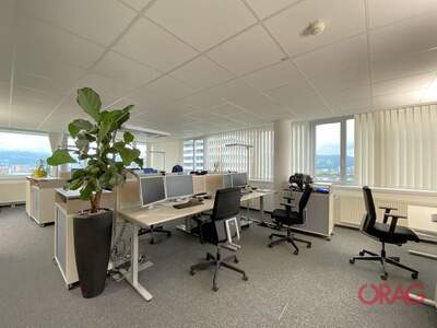 Gewerbeobjekt mieten in 4040 Linz (Bild 2)