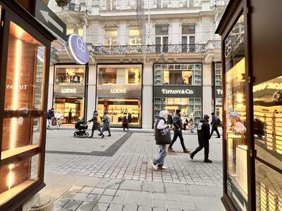 Einzelhandel mieten in 1010 Wien (Bild 2)