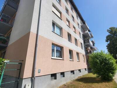 Wohnung mieten in 4600 Wels (Bild 4)