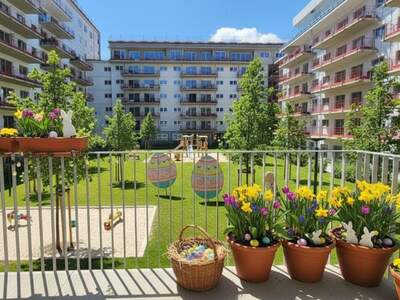 Wohnung mieten in 8010 Graz (Bild 1)