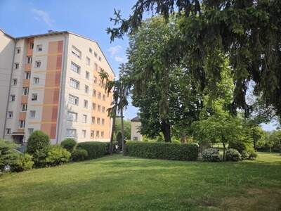 Wohnung kaufen in 4050 Traun