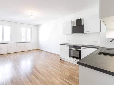 Wohnung kaufen in 1010 Wien