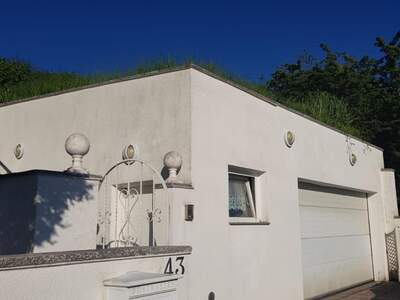 Einfamilienhaus kaufen in 2123 Unterolberndorf (Bild 4)