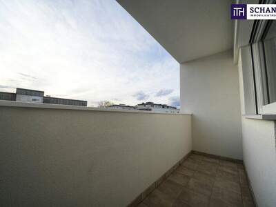 Terrassenwohnung mieten in 8010 Graz (Bild 5)