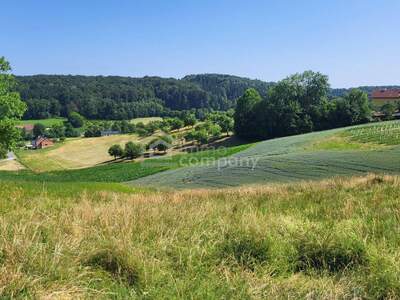 Grundstück kaufen in 8324 Oberdorf