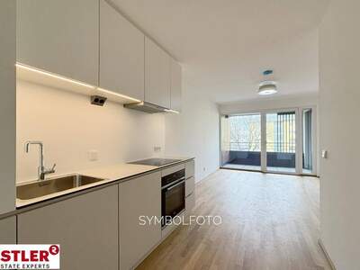 Wohnung mieten in 2340 Mödling