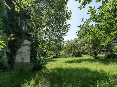 Grundstück kaufen in 4020 Leonding (Bild 4)