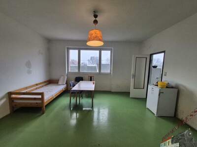 Haus mit Garten kaufen in 2304 Orth (Bild 5)