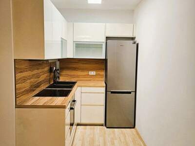 Terrassenwohnung mieten in 1020 Wien (Bild 2)