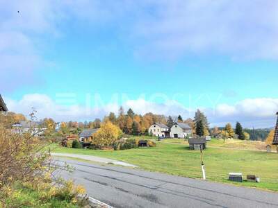 Mehrfamilienhaus kaufen in 4252 Liebenau (Bild 3)