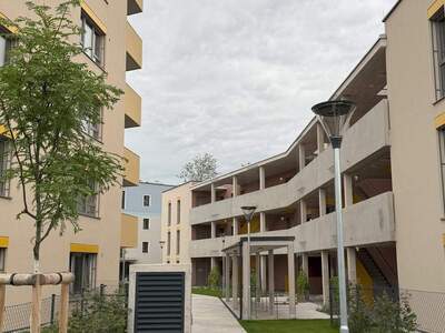 Terrassenwohnung mieten in 2700 Wr. Neustadt (Bild 1)
