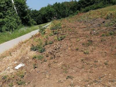 Grundstück kaufen in 53233 Vaganac (Bild 4)