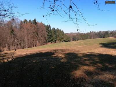 Grundstück kaufen in 8334 Riegersburg (Bild 4)