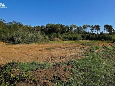 Grundstück kaufen in 7503 Großpetersdorf (Bild 1)