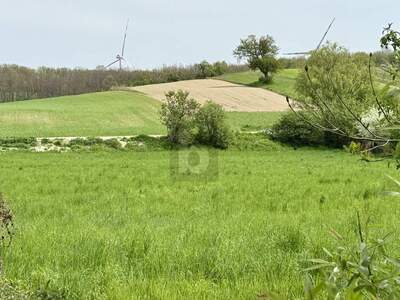 Freizeitgrundstück kaufen in 7032 Sigleß