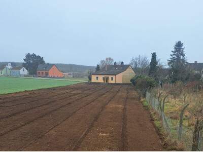 Grundstück kaufen in 2294 Marchegg (Bild 2)