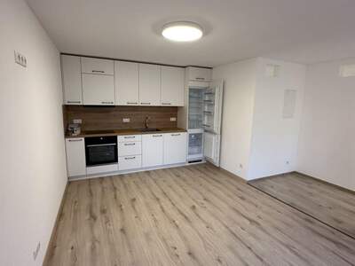 Gewerbeobjekt mieten in 4048 Puchenau (Bild 2)