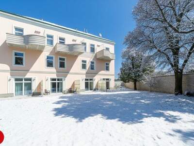 Büro / Praxis mieten in 2320 Schwechat (Bild 1)