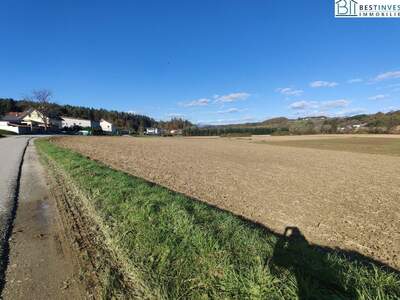 Grundstück kaufen in 8261 Sinabelkirchen (Bild 2)