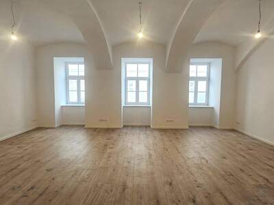 Gewerbeobjekt mieten in 1090 Wien