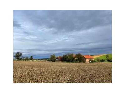 Haus provisionsfrei kaufen in 4716 Hofkirchen