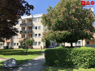 Terrassenwohnung mieten in 4400 Steyr (Bild 1)