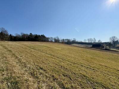 Grundstück kaufen in 8380 Henndorf (Bild 2)