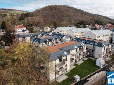 Terrassenwohnung kaufen in 2103 Langenzersdorf (Bild 1)