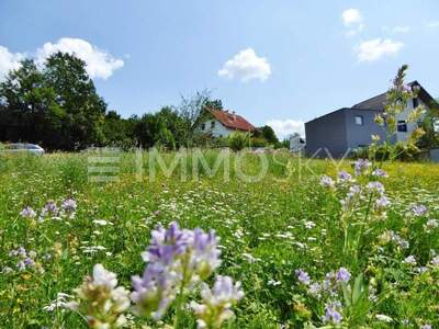 Grundstück kaufen in 4616 Weißkirchen