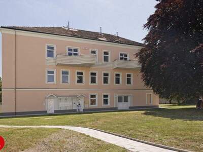 Büro / Praxis mieten in 2320 Schwechat (Bild 4)