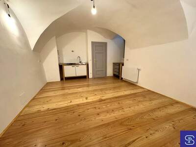 Gewerbeobjekt mieten in 2380 Perchtoldsdorf (Bild 5)