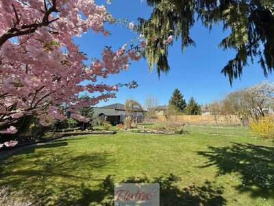 Haus kaufen in 4600 Wels (Bild 2)