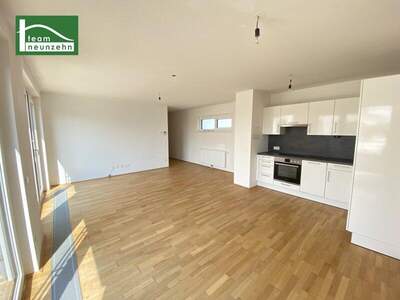 Terrassenwohnung mieten in 1210 Wien (Bild 2)