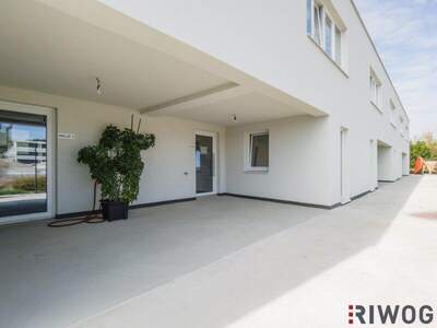 Produktion mieten in 3425 Langenlebarn (Bild 5)