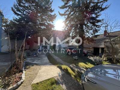 Haus kaufen in 2165 Drasenhofen