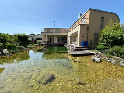 Haus kaufen in 4470 Enns (Bild 3)