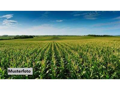 Grundstück kaufen in 8242 Auerbach
