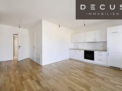 Terrassenwohnung mieten in 2345 Brunn (Bild 1)