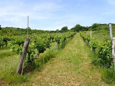 Gewerbeobjekt kaufen in 3470 Kirchberg