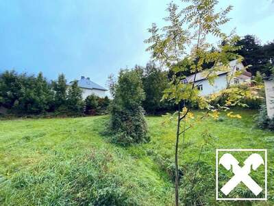 Grundstück kaufen in 2733 Grünbach (Bild 2)