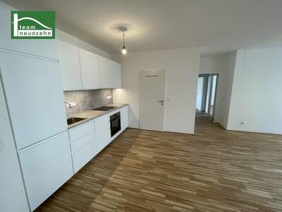 Terrassenwohnung mieten in 1230 Wien (Bild 2)